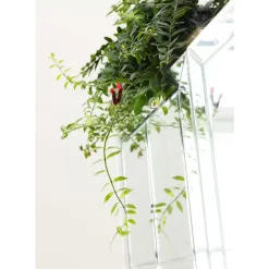 KARE Design Barschrank Luxury- Bars