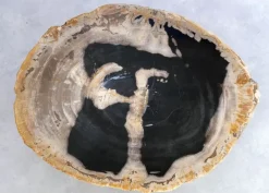 KARE Design Beistelltisch Alpha Versteinertes Holz- Tische