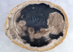 KARE Design Beistelltisch Gamma Versteinertes Holz- Tische