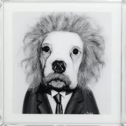 KARE Design Bild Frame Mirror Smart Dog 60X60- Bilder