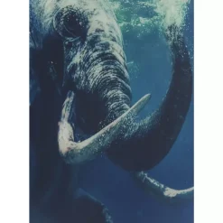 KARE Design Bild Glas Swimming Elephant 180X120Cm- Bilder