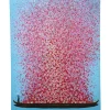 KARE Design Bild Touched Flower Boat Blau Pink 160X120Cm- Bilder