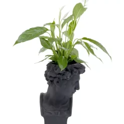 KARE Design Deko Ubertopf David Schwarz- Aufbewahrung & Ordnung