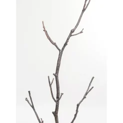KARE Design Garderobenstander Tree Branch 183Cm- Kleinmöbel & Sonstiges