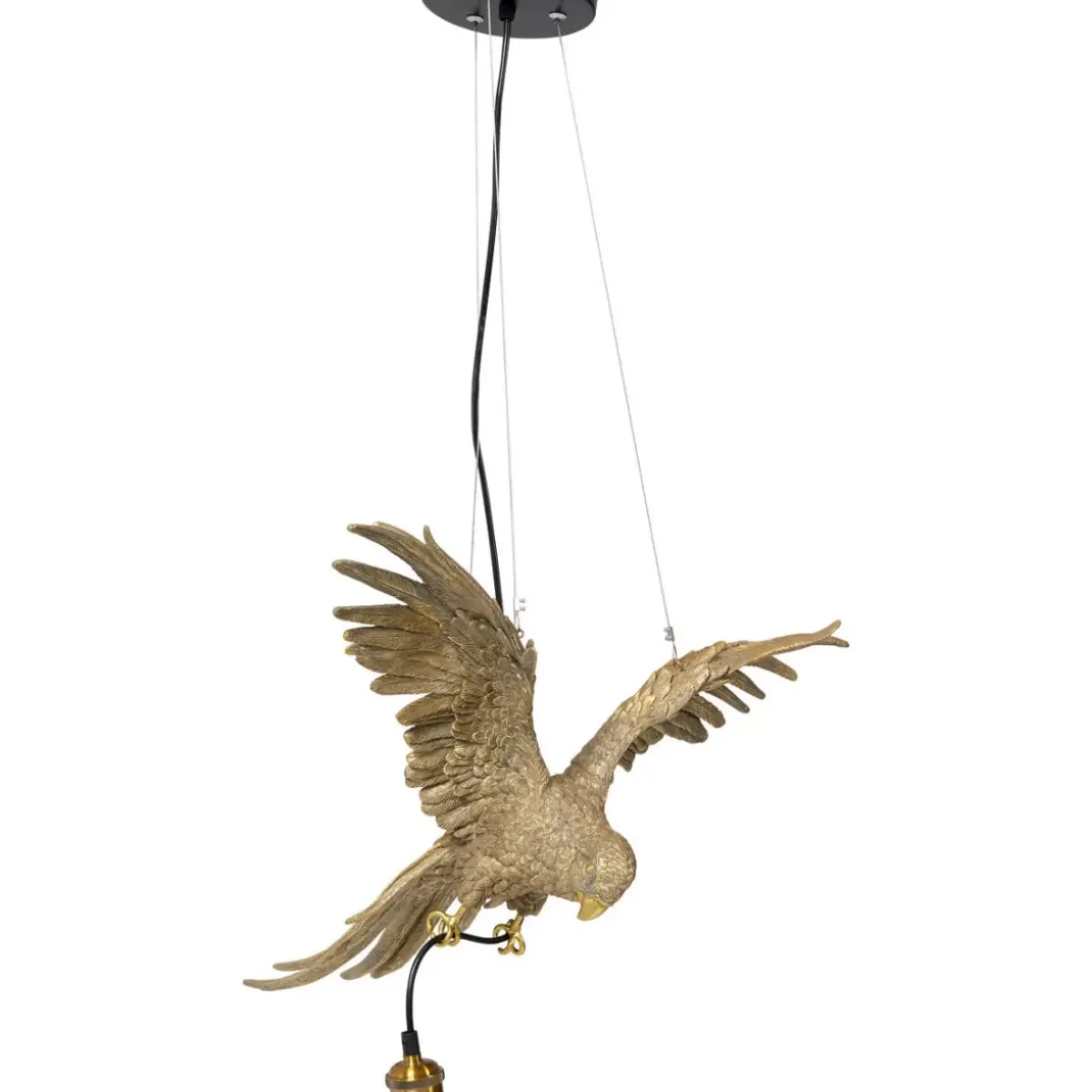 KARE Design Hangeleuchte Animal Parrot- Hängeleuchten