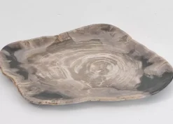 KARE Design Platte Drakenhart Versteinertes Holz- Geschirr & Tischaccessoires