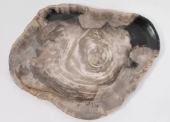 KARE Design Platte Magisch Versteinertes Holz- Geschirr & Tischaccessoires