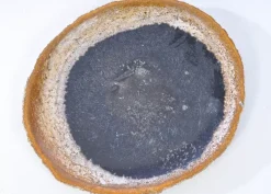 KARE Design Platte Stone Age Versteinertes Holz- Geschirr & Tischaccessoires