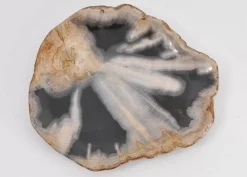 KARE Design Platte Toverland Versteinertes Holz- Geschirr & Tischaccessoires