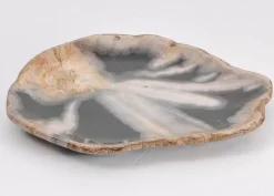 KARE Design Platte Toverland Versteinertes Holz- Geschirr & Tischaccessoires