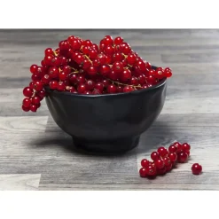 KARE Design Schale Organic Black O15Cm- Geschirr & Tischaccessoires