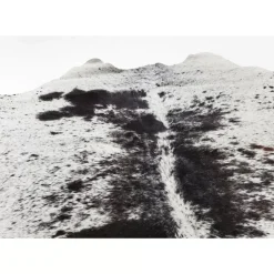 KARE Design Teppich Hide Schwarz-Weis- Teppiche