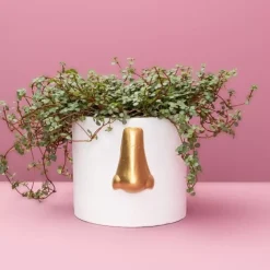 KARE Design Ubertopf Nase Weiss/Gold- Sonstiges & Zubehör Accessoires