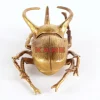 KARE Design Wandschmuck Atlas Beetle Gold- Bilder