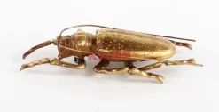 KARE Design Wandschmuck Longicorn Beetle Gold- Bilder